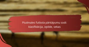 Pludmales futbola pārkāpumu sodi: klasifikācija, izpilde, sekas